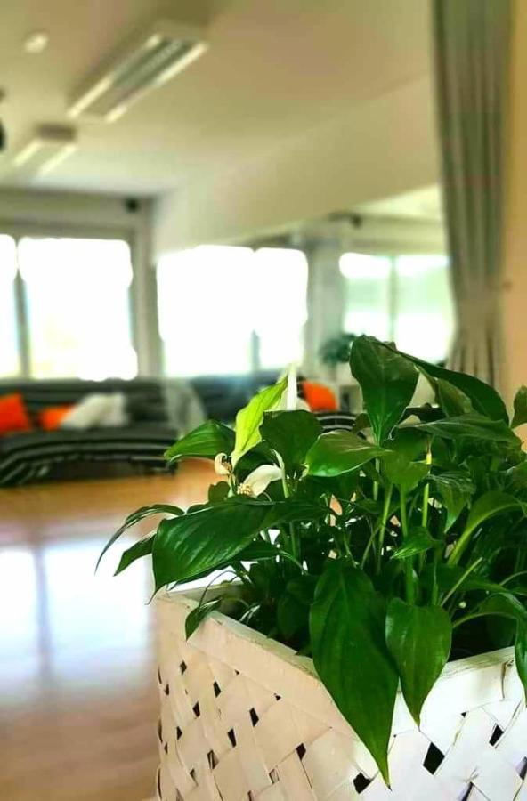 Tej Hostel Ljubljana Exteriör bild
